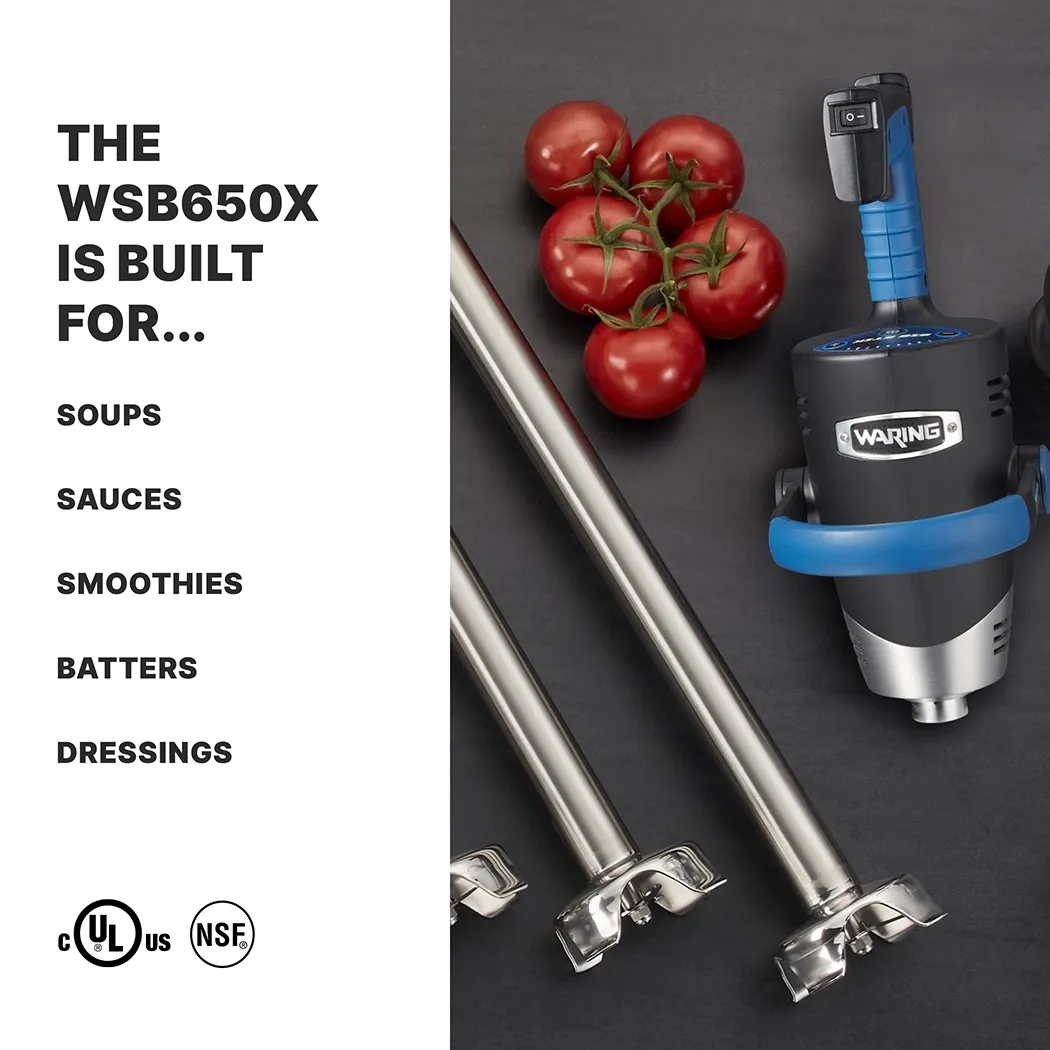 Waring WSB650X 18" Heavy-Duty Big Stik EvolutionX Immersion Blender - Image 2